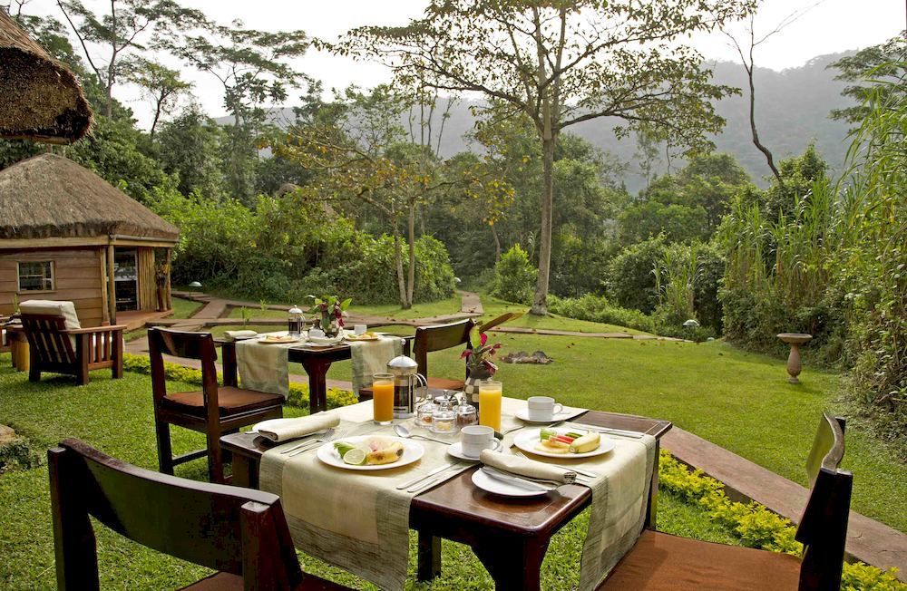 מלון Ntungamo  Sanctuary Gorilla Forest Camp מראה חיצוני תמונה