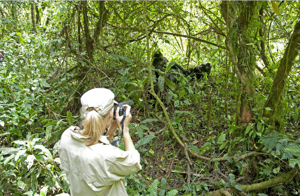 מלון Ntungamo  Sanctuary Gorilla Forest Camp מראה חיצוני תמונה